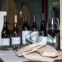 Gallery Professionale