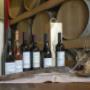 Gallery Professionale