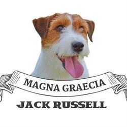 Magna Graecia Jack