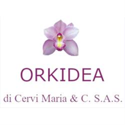 Orkidea Cervi Maria & C. Sas