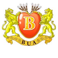 Il mondo di Bua s.r.l