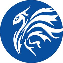 Centro Phoenix srl Psicologia, Neuropsicologia, Riabilitazione,Psicoterapia