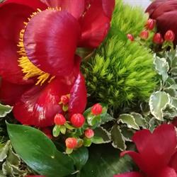 I Fiori di Irene e Lorenzo