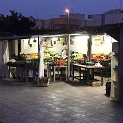 IL GIARDINO DELLE PRIMIZIE a OTRANTO
