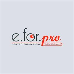 E. FOR. PRO S.R.L.