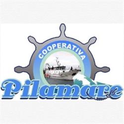 COOPERATIVA PILAMARE ORGANIZZAZIONE DI PRODUTTORI SOCIETA' COOPERATIVA