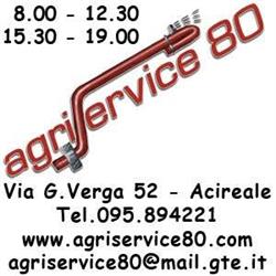 AGRISERVICE 80 S.A.S. DI PATRIZIA SINATRA E C.