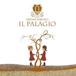 Azienda Agricola Il Palagio di Panzano - CELLAR