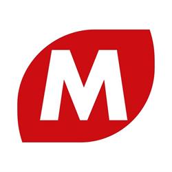 Magni Telescopic Handlers - Plant 1