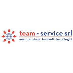 Team Service