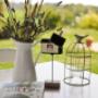 Monte Maino Bed and Breakfast