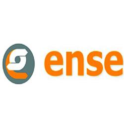 Ense Srl