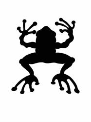 Crackpot - Custom Lab & Shop