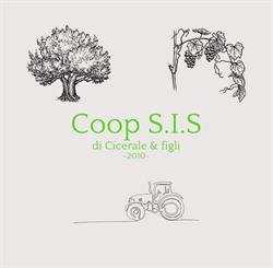Cooperativa S.I.S.