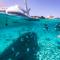 snorkeling-cala-coticcio