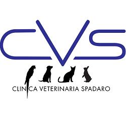 Clinica Veterinaria Spadaro