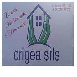 Crigea
