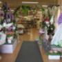 Gallery Professionale