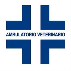 Ambulatorio Veterinario San Rocco - Dott. di Fabrizio Lamberto