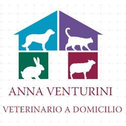 Venturini Anna - Veterinario a domicilio Nuova Florida