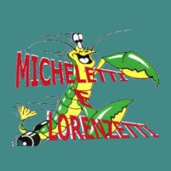 Officina Autoriparazioni di Micheletti e Lorenzetti SNC
