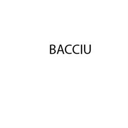 Bacciu Assicurazioni