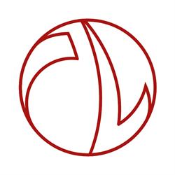 Anylink Group srl