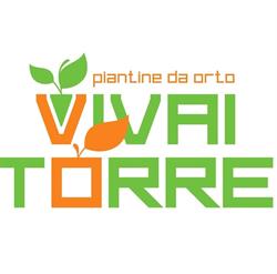 Vivai Torre Piantine da orto