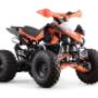 miniquad 125 skyner
