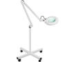 lampada con lente d'ingrandimento