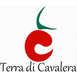 Terra di Cavalera