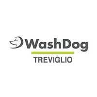 Wash Dog Treviglio