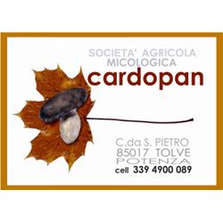 Funghi Cardopan