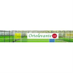 Ortolevante