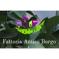 Fattoria Antico Borgo
