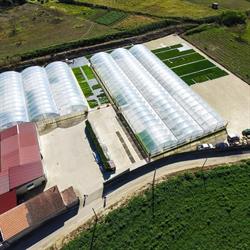 Vivaio Biohortoplant