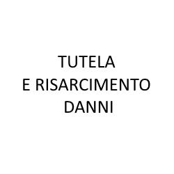 Tutela e Risarcimento Danni