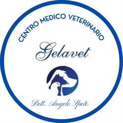 Centro Medico Veterinario Gelavet dott. Angelo Spoto