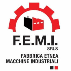 F.E.M.I. Gruppi Elettrogeni