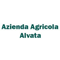 Azienda Agricola Alvata