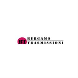 Bergamo Trasmissioni Srl