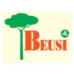 Beusi