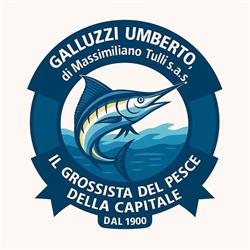 Galluzzi Umberto sas di Tulli Massimiliano