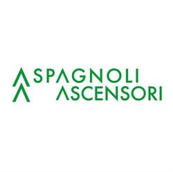 Spagnoli Ascensori di Spagnoli Domenico e C. snc
