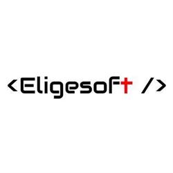 Eligesoft S.a.s
