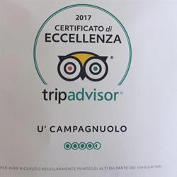 Ristorante U' Campagnuolo S.A.S. Conte Ferdinando