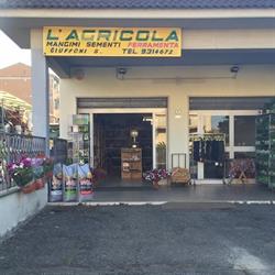 Agricola Di Ciuffoni Santa
