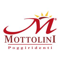 Salumificio Mottolini srl