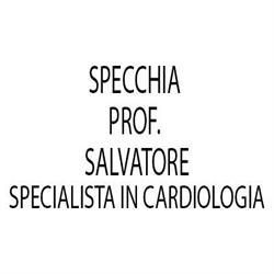 Specchia Prof. Salvatore
