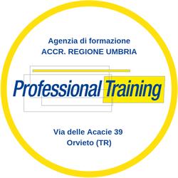 Professional Training Di M.Raffaella Polegri & C. Srl